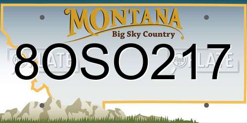 8OSO217 Montana License Plate