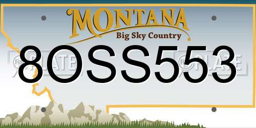 8OSS553 Montana License Plate