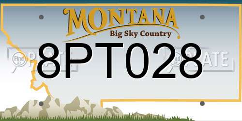 8PT028 Montana License Plate