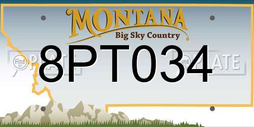 8PT034 Montana License Plate