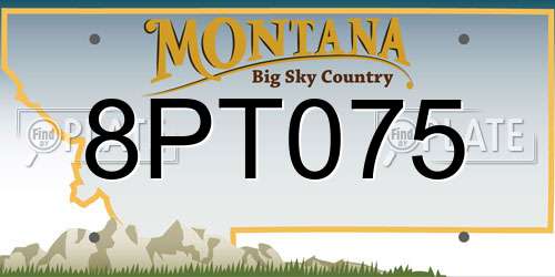 8PT075 Montana License Plate