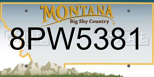 8PW5381 Montana License Plate
