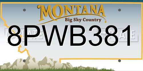 8PWB381 Montana License Plate