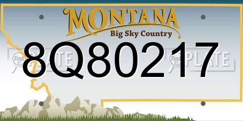 8Q80217 Montana License Plate