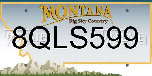 8QLS599 Montana License Plate