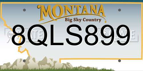 8QLS899 Montana License Plate