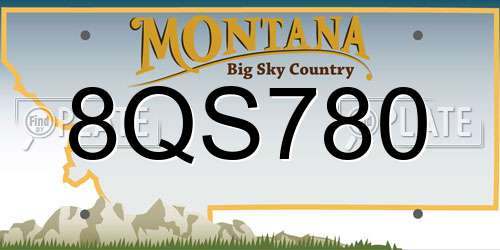 8QS780 Montana License Plate