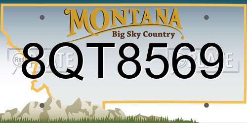 8QT8569 Montana License Plate