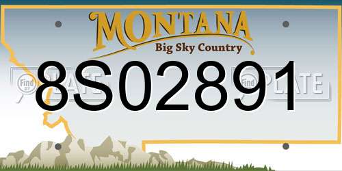 8S02891 Montana License Plate
