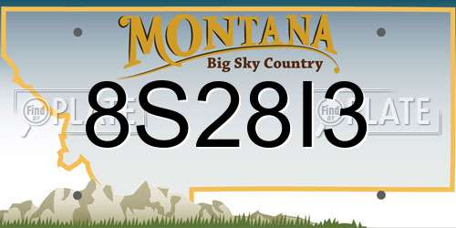 8S28I3 Montana License Plate