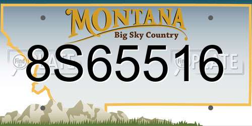 8S65516 Montana License Plate