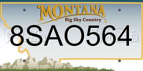 8SAO564 Montana License Plate
