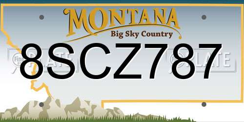 8SCZ787 Montana License Plate