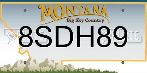 8SDH89 Montana License Plate