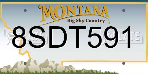 8SDT591 Montana License Plate