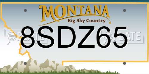 8SDZ65 Montana License Plate