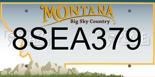 8SEA379 Montana License Plate