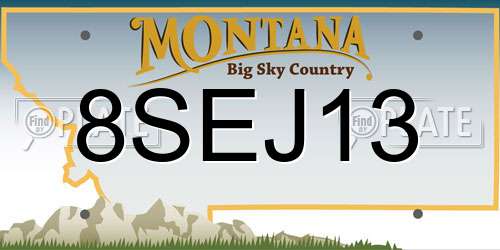 8SEJ13 Montana License Plate