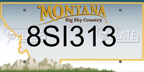8SI313 Montana License Plate