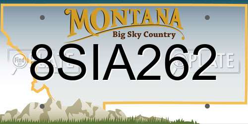 8SIA262 Montana License Plate