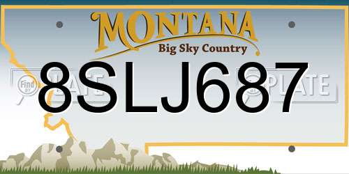 8SLJ687 Montana License Plate