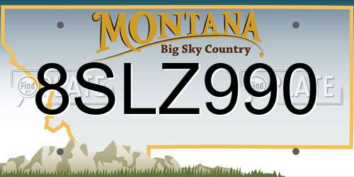 8SLZ990 Montana License Plate