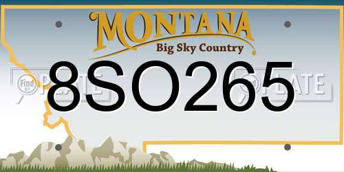 8SO265 Montana License Plate