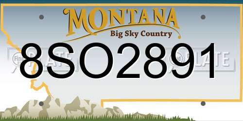 8SO2891 Montana License Plate