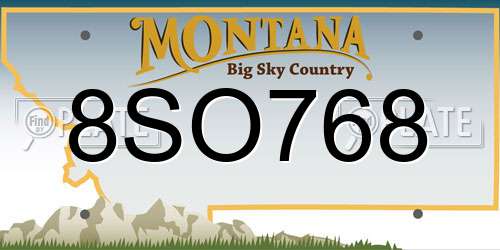 8SO768 Montana License Plate