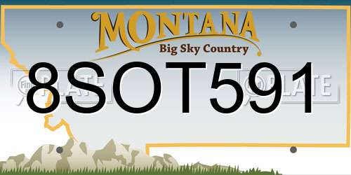 8SOT591 Montana License Plate
