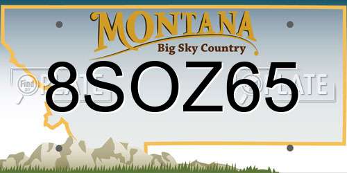 8SOZ65 Montana License Plate