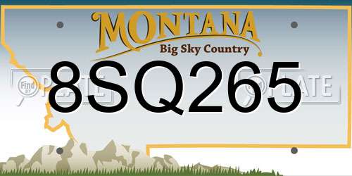 8SQ265 Montana License Plate