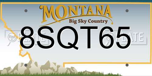 8SQT65 Montana License Plate