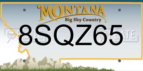 8SQZ65 Montana License Plate