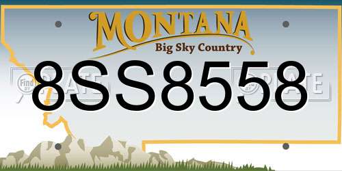 8SS8558 Montana License Plate