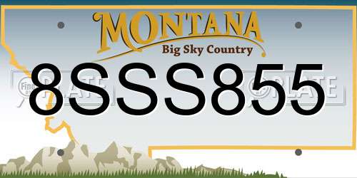 8SSS855 Montana License Plate