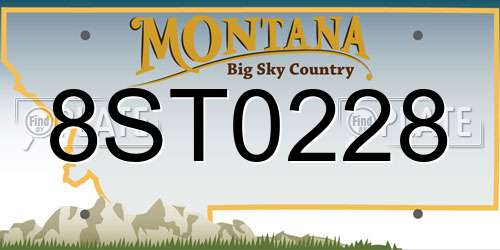 8ST0228 Montana License Plate