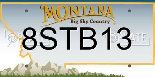8STB13 Montana License Plate