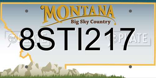 8STI217 Montana License Plate