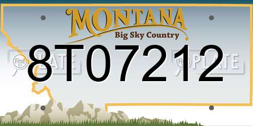8T07212 Montana License Plate