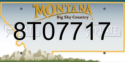 8T07717 Montana License Plate