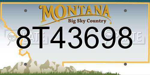 8T43698 Montana License Plate