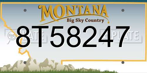 8T58247 Montana License Plate