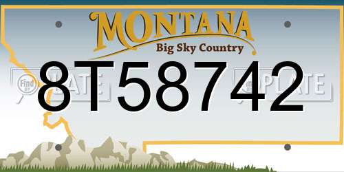 8T58742 Montana License Plate