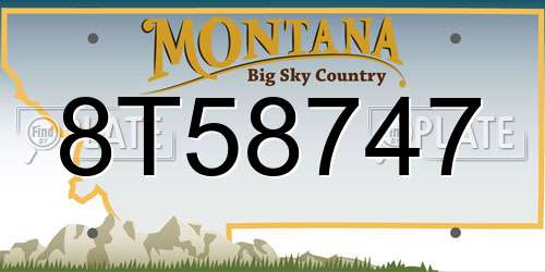8T58747 Montana License Plate