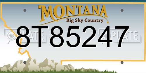 8T85247 Montana License Plate