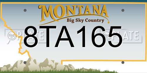 8TA165 Montana License Plate