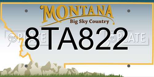 8TA822 Montana License Plate