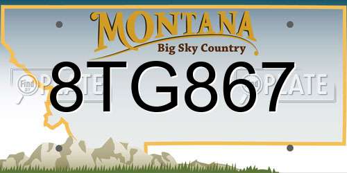 8TG867 Montana License Plate