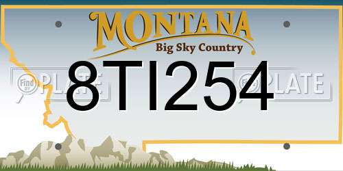 8TI254 Montana License Plate